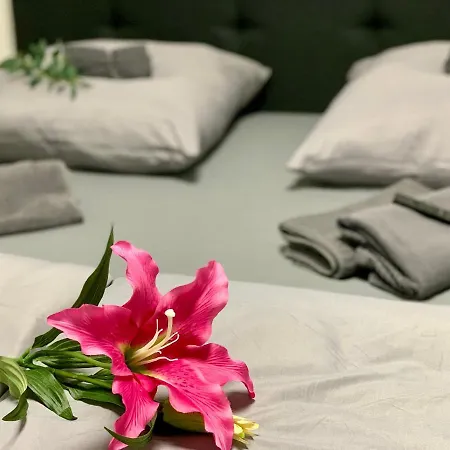 Apartman Mont *
